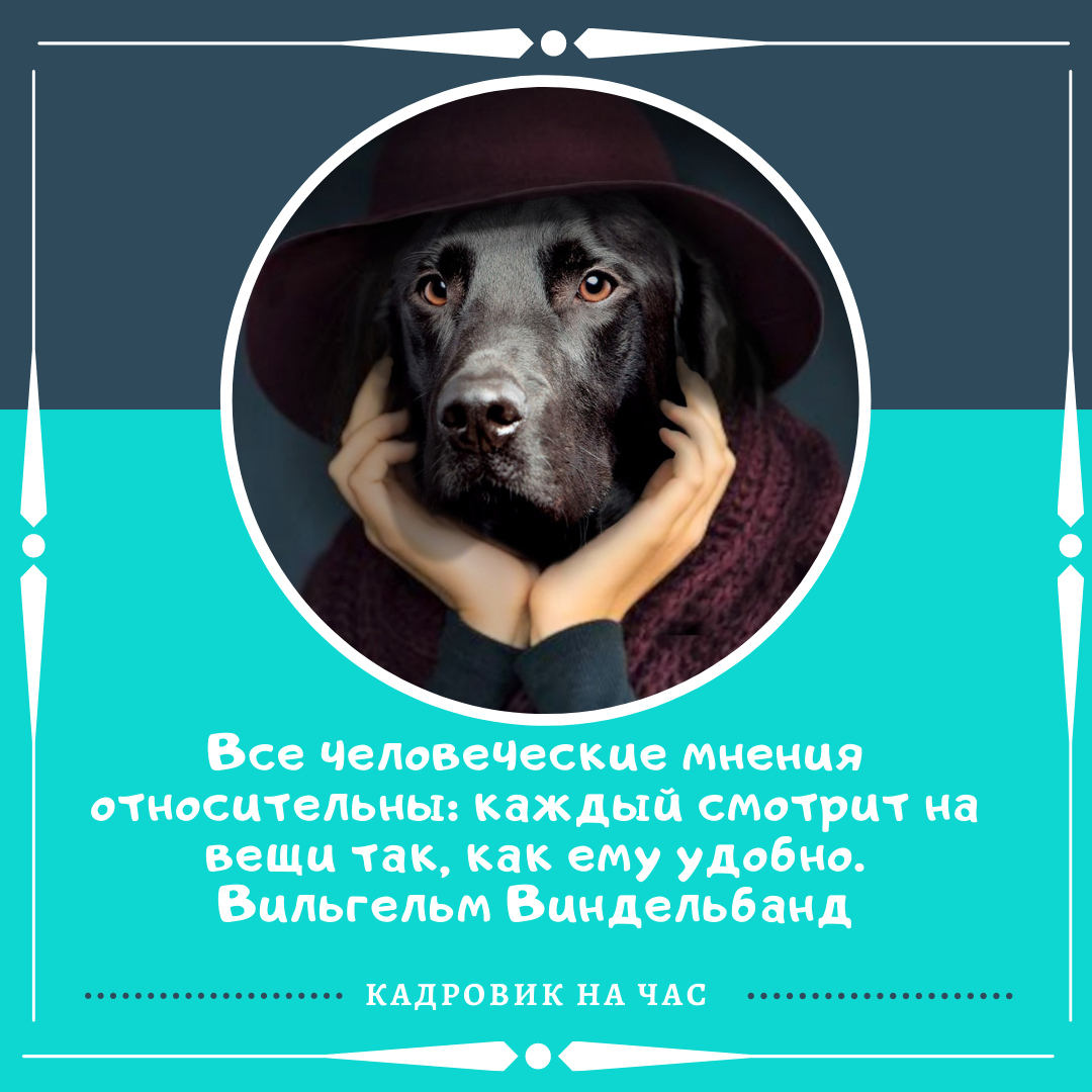 ПОДПИСЫВАЙТЕСЬ НА КАНАЛ, что бы получать информацию о трудовом законодательстве коротко и по существу.