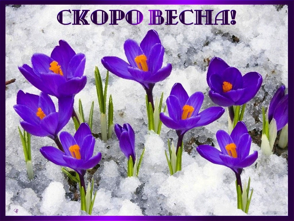 Конец весны картинки доброе утро