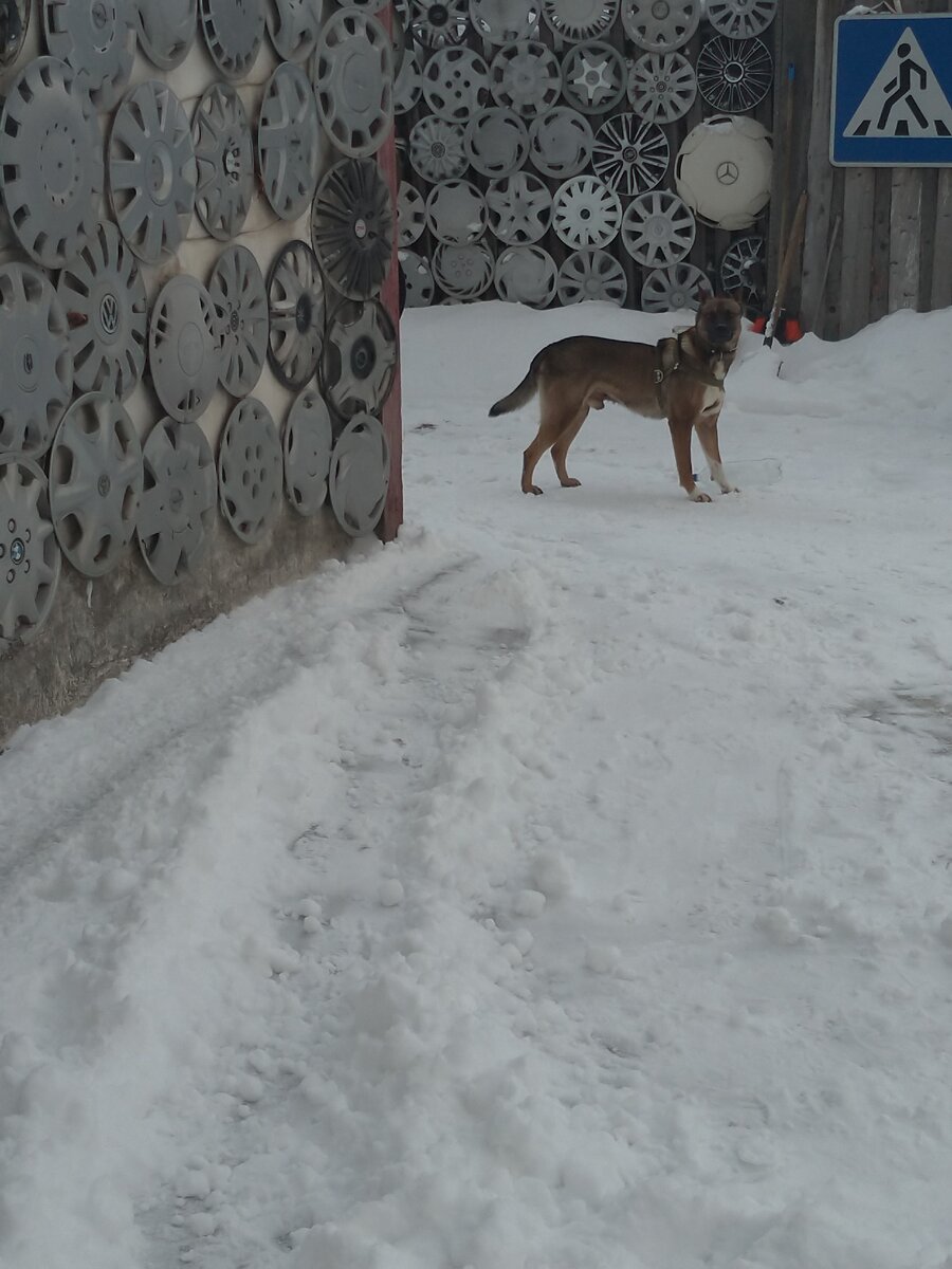 "Не подглядывай за мной!" Следит за моим передвижением.