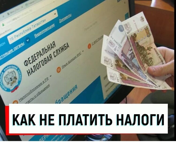 Фото из открытых источников
