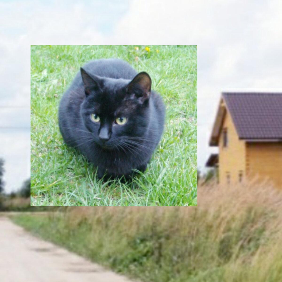 Ставьте лайк истории, подписывайтесь на канал - это поможет его развитию!