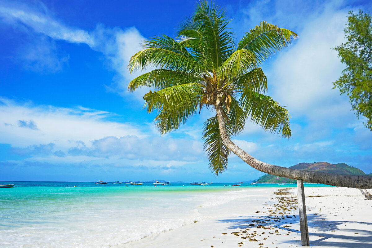 Пляж Anse Volbert, Praslin