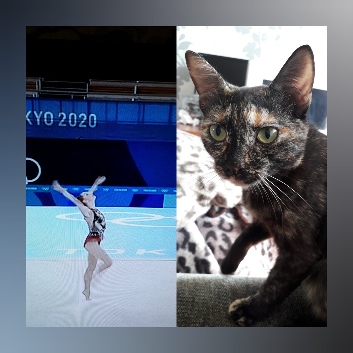 Белка и гимнастка. Спортсменка здесь не итальянская уже, а та, кто следом выступала...