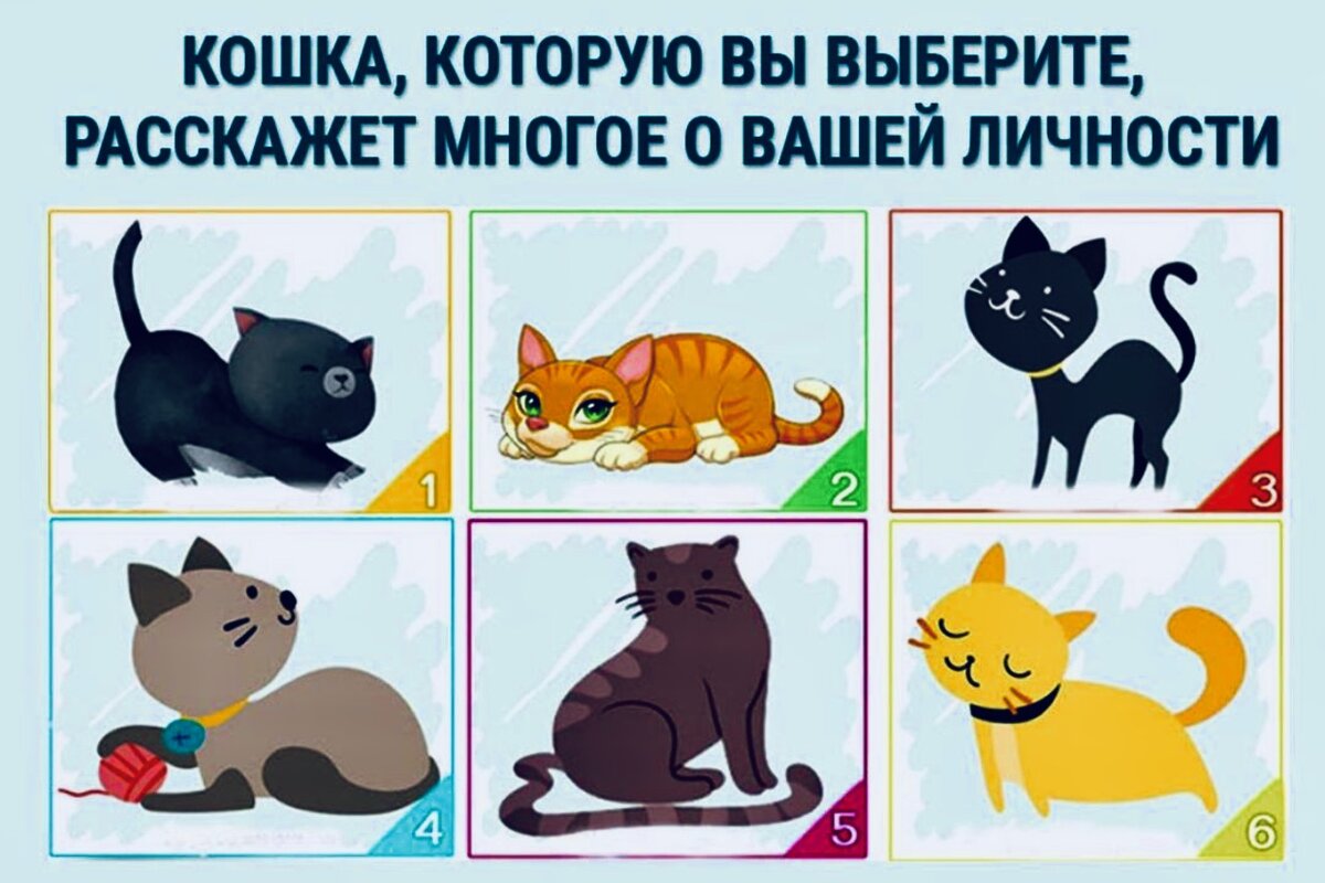 Расскажи кот