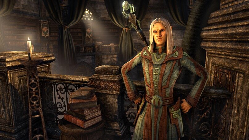 После появления русской локализации проходить квесты стало значительно интереснее. Раньше, к примеру, земли лесных эльфов были "англоговорящей зоной", даже любительского перевода не было