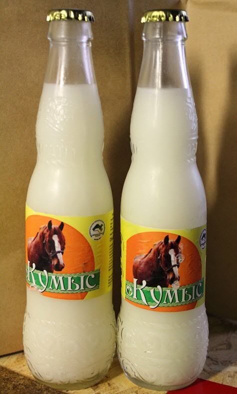 Потрясающе, но в настоящее время монголы традиционно готовят спиртной напиток, который смело можно назвать одним из древнейших алкогольных продуктов на земле. Этим чудом является знаменитый напиток из кобыльего молока под названием кумыс. На протяжении многих столетий монгольский продукт считали лечебным, и не зря. Однако XX век с его модными микстурами и пилюлями немного потеснил традиционные методы лечения, а многие кумысолечебницы были закрыты. Век XXI, оглянувшись через плечо, начал постепенно возрождать старинные методики и рецептуры, используя проверенные народные способы исцеления больных. Скептику может показаться, что я слишком преувеличиваю способности монгольского кумыса, однако его полезные свойства были не раз доказаны на конкретных примерах. В настоящее время этот продукт из кобыльего молока иногда применяют для лечения туберкулеза, органов пищеварения, кровеносной системы, нервной системы, гнойных ран. Некоторые утверждают, что данный монгольский напиток способствует сохранению молодости кожи и всего организма, а также замедляет развитие раковых клеток. Разумеется, лечиться кумысом тоже необходимо с умом, особенно если принять во внимание, что этот напиток все же содержит определенный процент этилового спирта. Кстати, именно поэтому кумыс иногда советуют принимать после веселой гулянки, так как он снимает похмельный синдром.