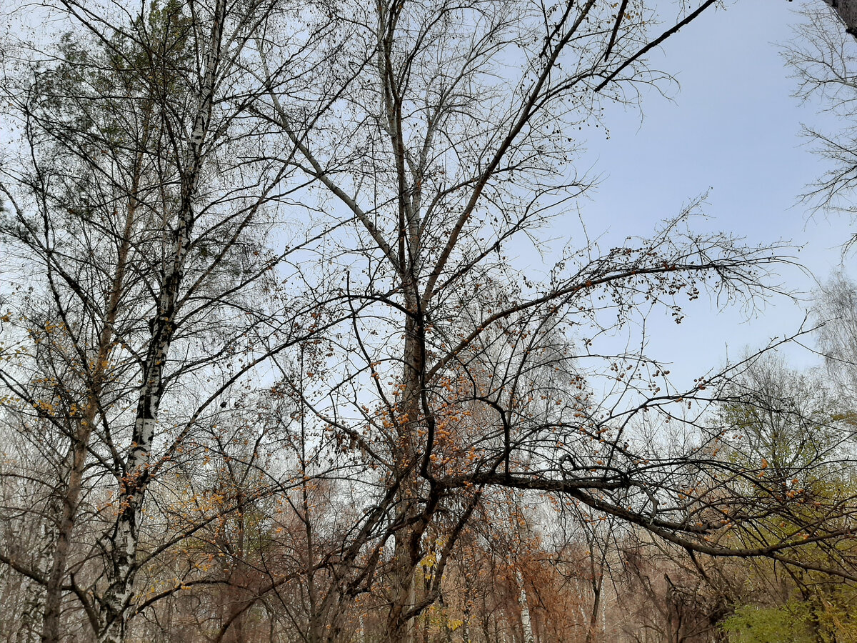 Фото из личного архива автора