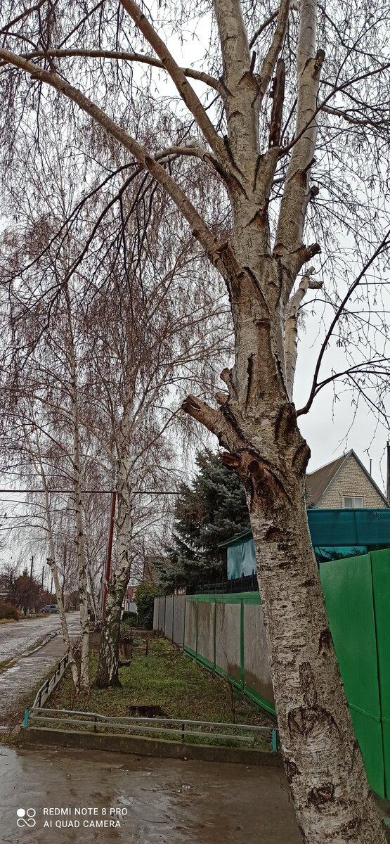 И такое наблюдается по всему городу