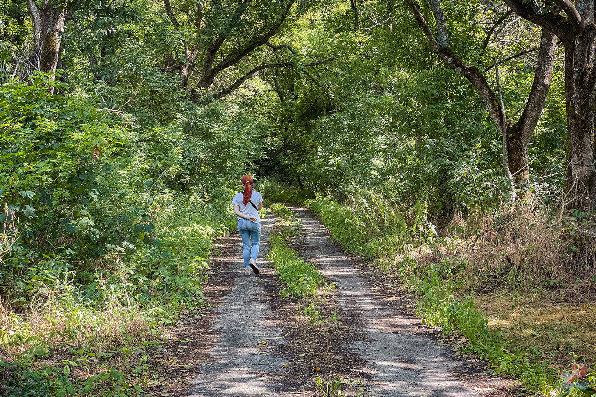 Дорога в селе Красно. 
