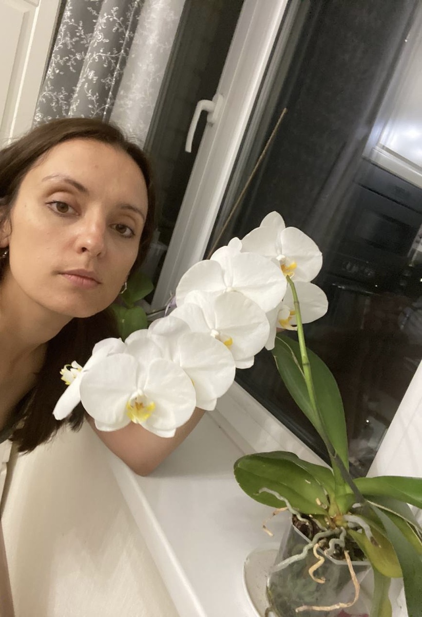 Моя красавица и гордость , подарила мне 17 огромных цветочков которые цвели более 6 месяцев.