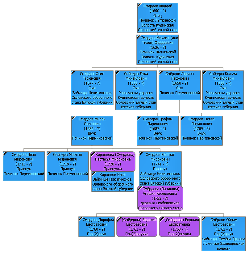 Пример генеалогического древа Смердовых, Вятская губерния. Родословная автора