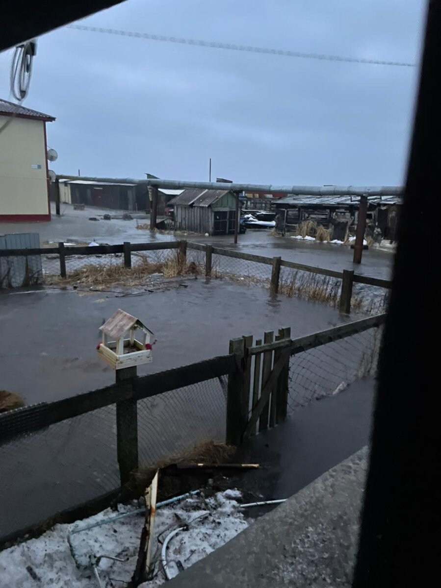  Фото пресс-службы правительства Камчатского края: поселок Крутогоровский заливает ледяной водой 