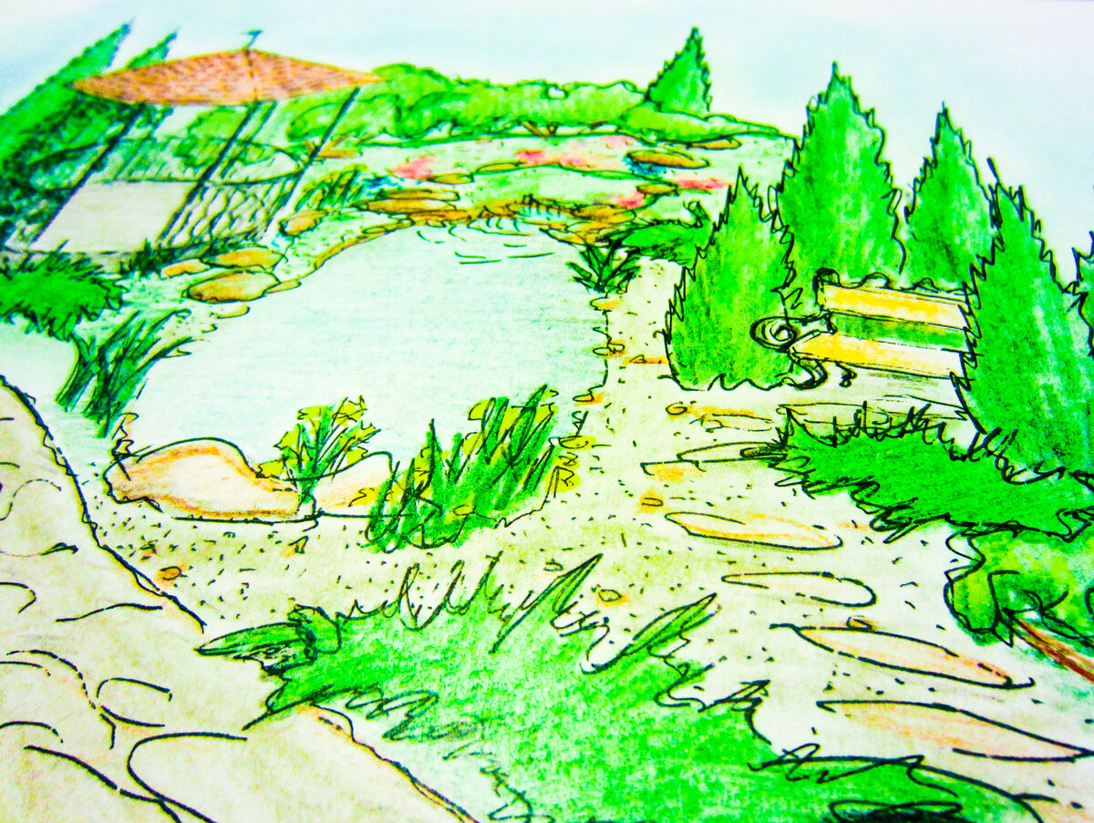 Пошаговая дорожка из плитняка ведёт к уединённой скамье среди хвойных растений. Эскиз мой (часть проекта благоустройства и озеленения)