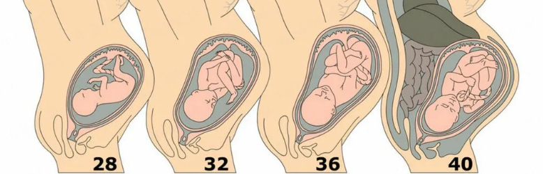 яндекс картинки 