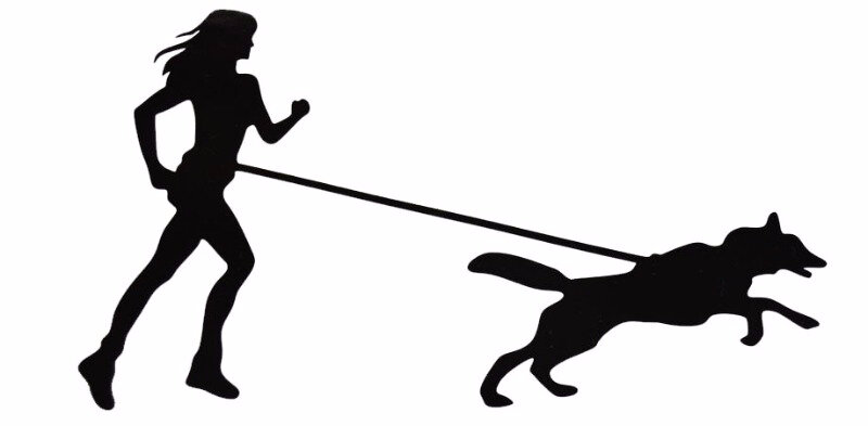 Задали нам вопрос о поводках их длине и видах! 
Оля отвечает на примере своих собак и прогулок, и занятий с ними!

«Вообще, поводки- дело предпочтений и привычки. Расскажу, какие и для чего использую я.

Для того, чтобы пройти по городу, например, к какой-то площадке, или к электричке, обычно использую более короткий поводок- сворку, для двоих собак, когда с одной собакой- всегда 5 метровый.

Для прогулок, занятий всегда беру брезентовые поводки не менее 5 метров, чтобы предоставить собакам необходимую свободу, индивидуальную дистанцию и избавить себя от постоянной игры в тяни-толкая в ту или иную сторону!😄 для маленьких собак может подойти и 3 метровый поводок.

Рулетки не люблю. Заниматься на них бессмысленно, т.к. собака всегда знает, что она под контролем и ведет себя иначе, чем без поводка.

Рулетку использовала только для старенькой собачки, которая спокойно шла рядом.


На коротком поводке собака всегда будет тянуть - что-то понюхать, обойти на удобном расстоянии неприятный объект... Короткий поводок провоцирует конфликты с другими собаками, т.к. на нем у собаки нет возможности показать свои мирные намерения.


Я предпочитаю 5 метровые поводки из плотного брезента, он не запутывается. Лучше прошитые, чем на заклепках. Они долговечнее.

И, конечно, с надежным карабином ( о карабинах у нас есть отдельная публикация).

Даже гуляя одновременно с двумя собаками, использую именно такие поводки - по 5 метров у каждой. Для удобства скрепляю их концами вместе, чтоб не выронить. Так мои собаки имеют возможность поиграть, если не могу их отпустить, идти, каждая в своем темпе, в интересную для них сторону.


И, конечно, поводок - это средство подстраховки собаки там, где нет возможности её отпустить. Это не средство управления собакой.

Общаемся мы всегда словами и жестами, взглядами, а не устраиваем соревнования - кто кого перетянет!😉»

А на какой амуниции гуляете вы? Какую предпочитаете и любите? Поделитесь со всеми своими мнениями и наблюдениями👍🏻