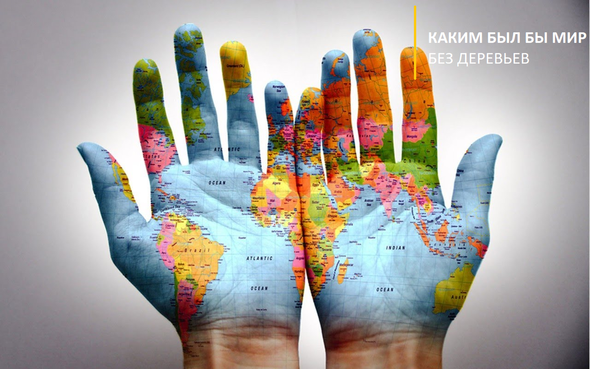 Всем привет, с Вами историк Никита. Начать наше с Вами знакомство я бы хотел с акутальной экологической проблемы вырубки лесов и призвать Вас относится к этой проблеме серьезно. Берегите природу.