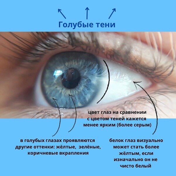 Характеристика глаза