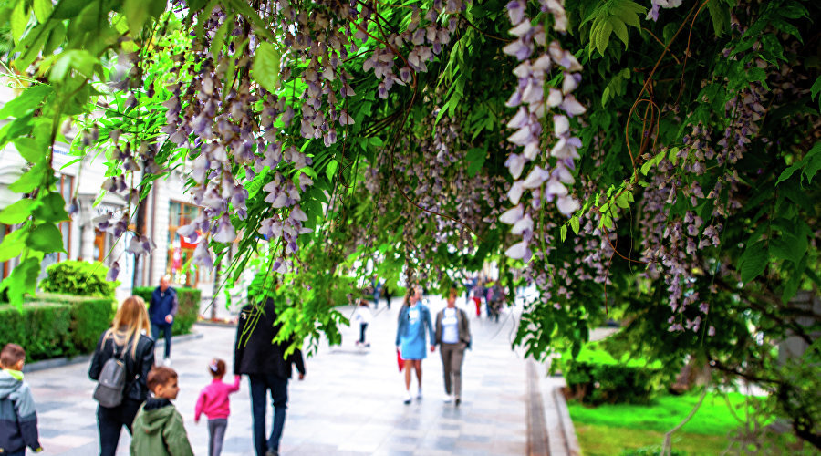 Набережная Ялты / Фото: Игорь Пиганов