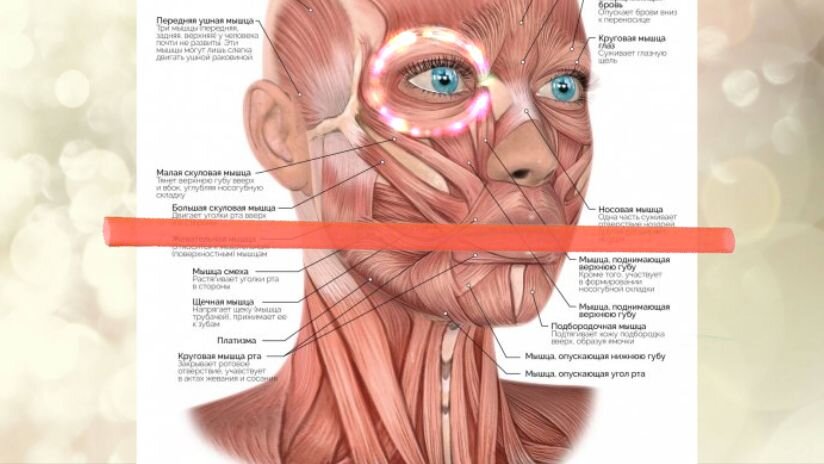 Работает только напряженный и прижатый к небу язык и глаза. Все остальное пытаемся максимально расслабить// коллажа автора, изображения rozetka.com.ua