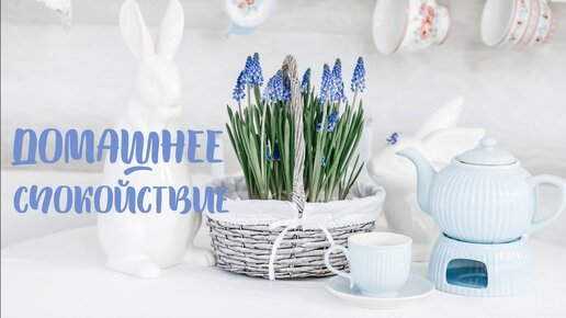 ДОМАШНЕЕ СПОКОЙСТВИЕ🐇 | лепешки картофельные с зеленью, сею цветы, ловлю моменты дней (Story 11)