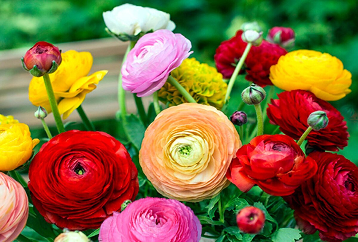 Фото из интернета