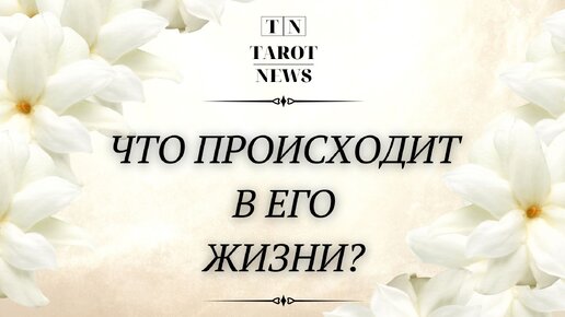 Как живет таро