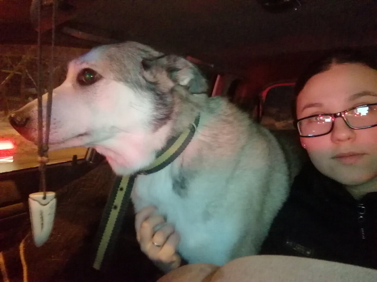 контроль за дорогой)