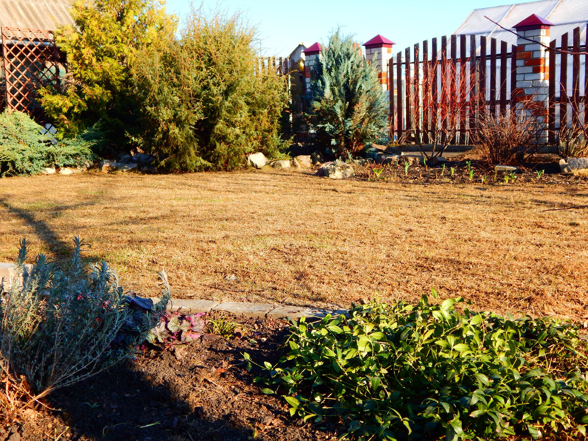 Конец марта 2019 года, уже прогребли газон...