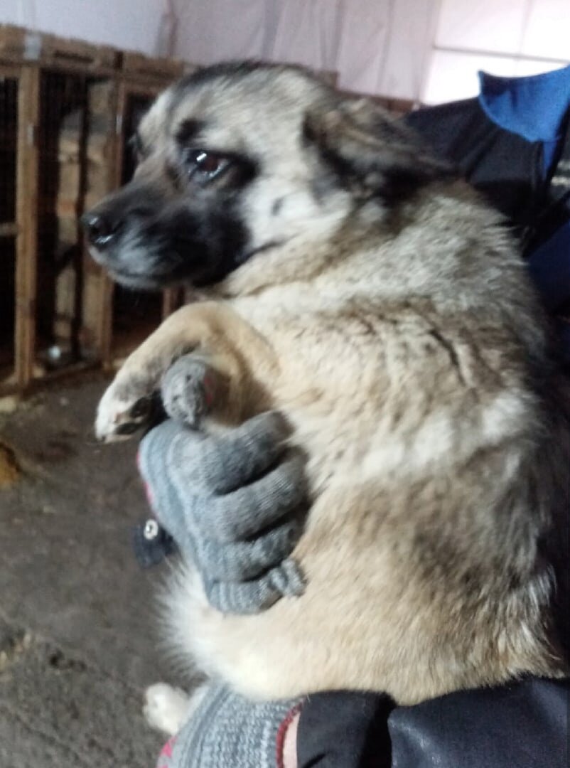 Срок уже хороший