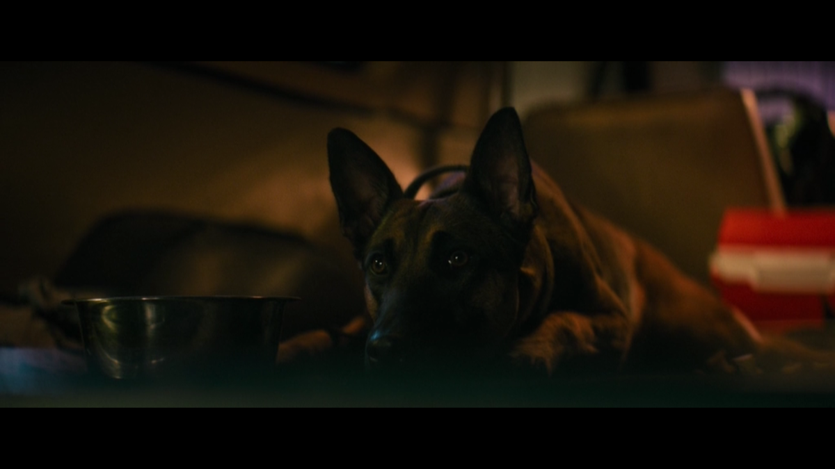 Кадр из фильма: Лулу и Бриггс