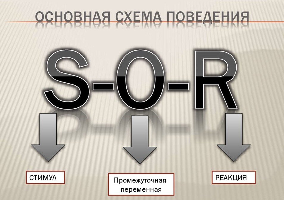 Бихевиоризм стимул реакция схема