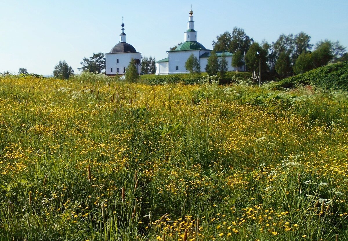 Фото: Николай Туркин