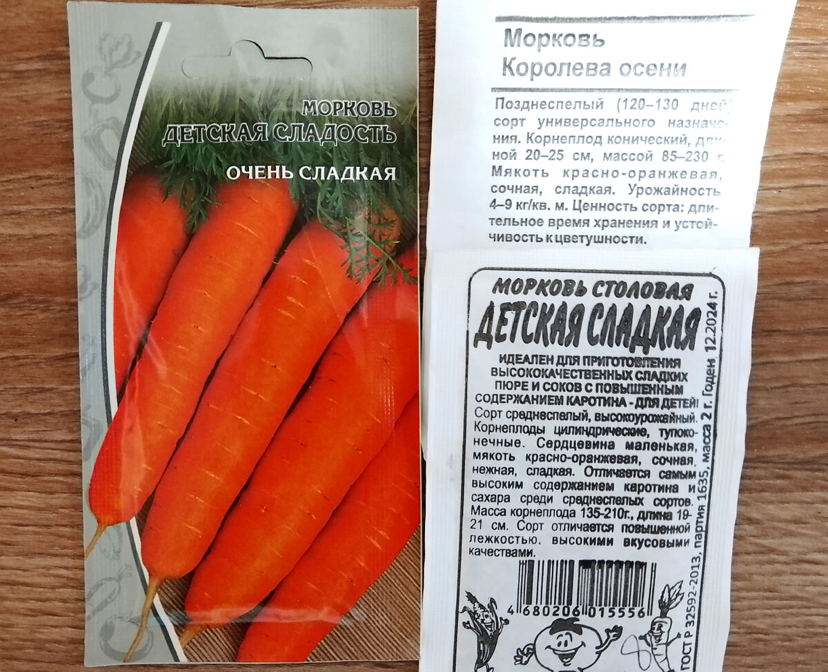 Когда и как лучше сажать морковь в 2022 году