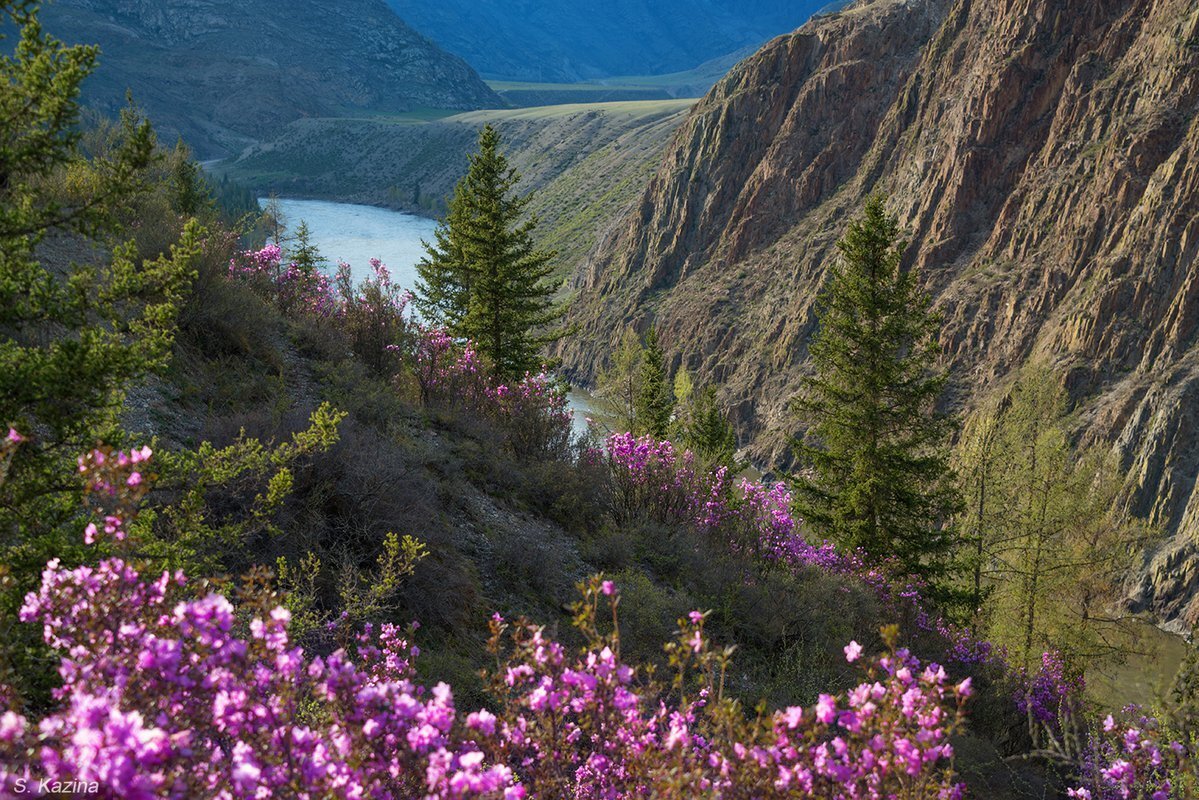 фото из интернета