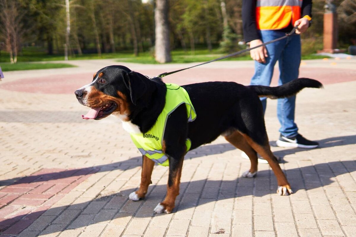 Фото Игоря Горелика, 