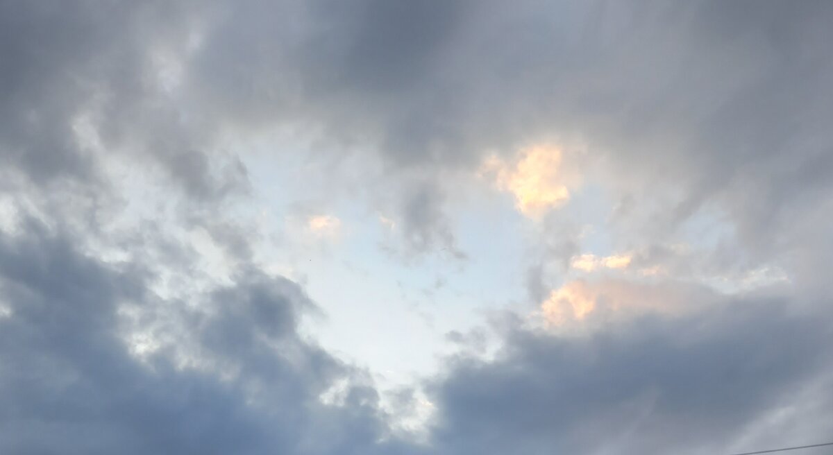 Все фото автора.