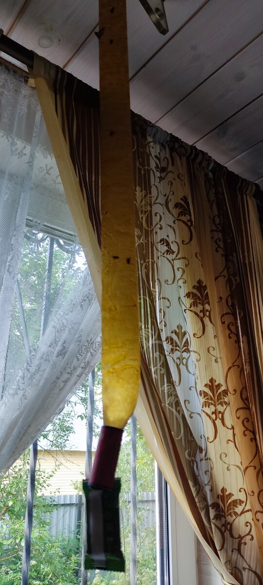 Клеевые ловушки для мух, всегда располагайте у окна. Так вы поймаете больше мух. 