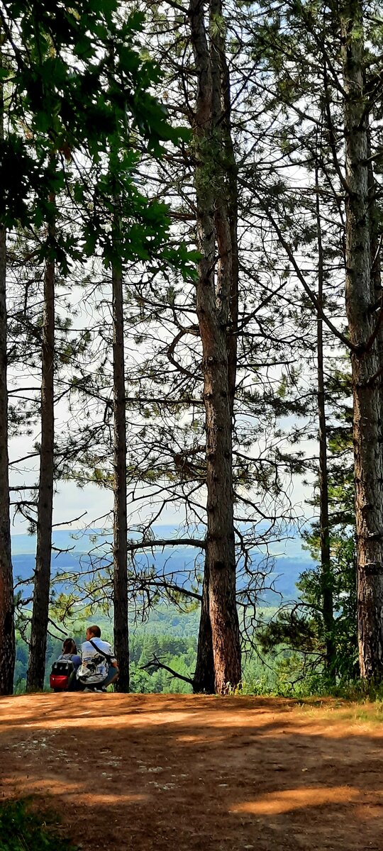 На тропе в парке