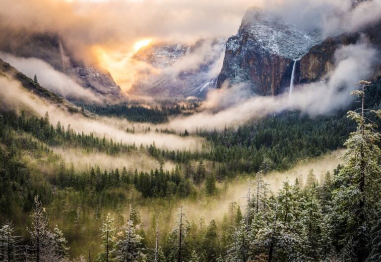 (Фото взято из Chrome)  