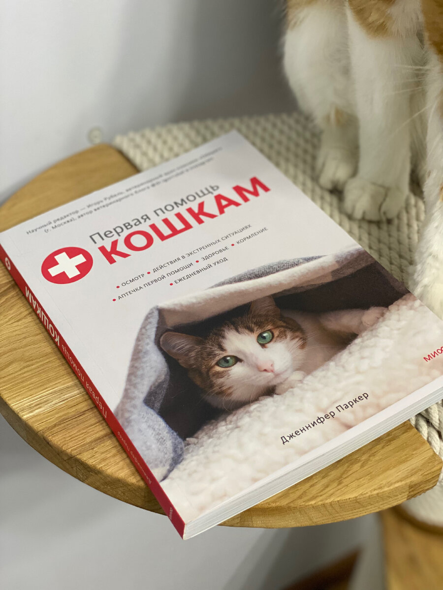 Коржик одобряет!