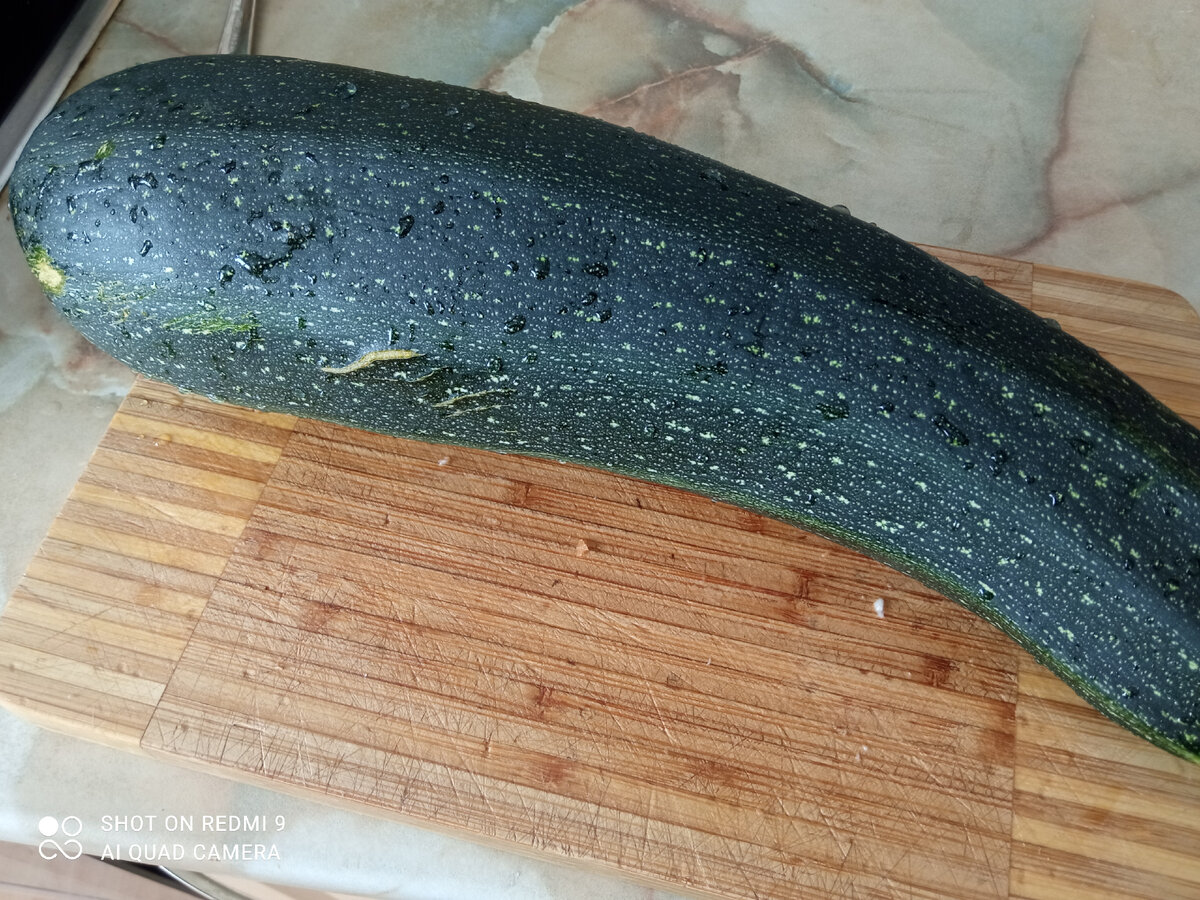 фото автора, кабачок