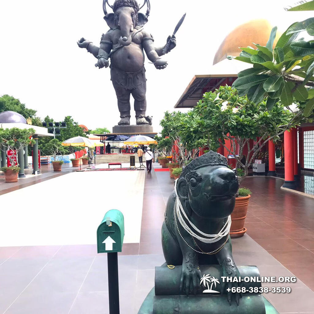 14 августа 2022 едем на однодневную экскурсию "Тайна Сиама" из Паттайи, поездка включает парк птиц "Суан Нок"