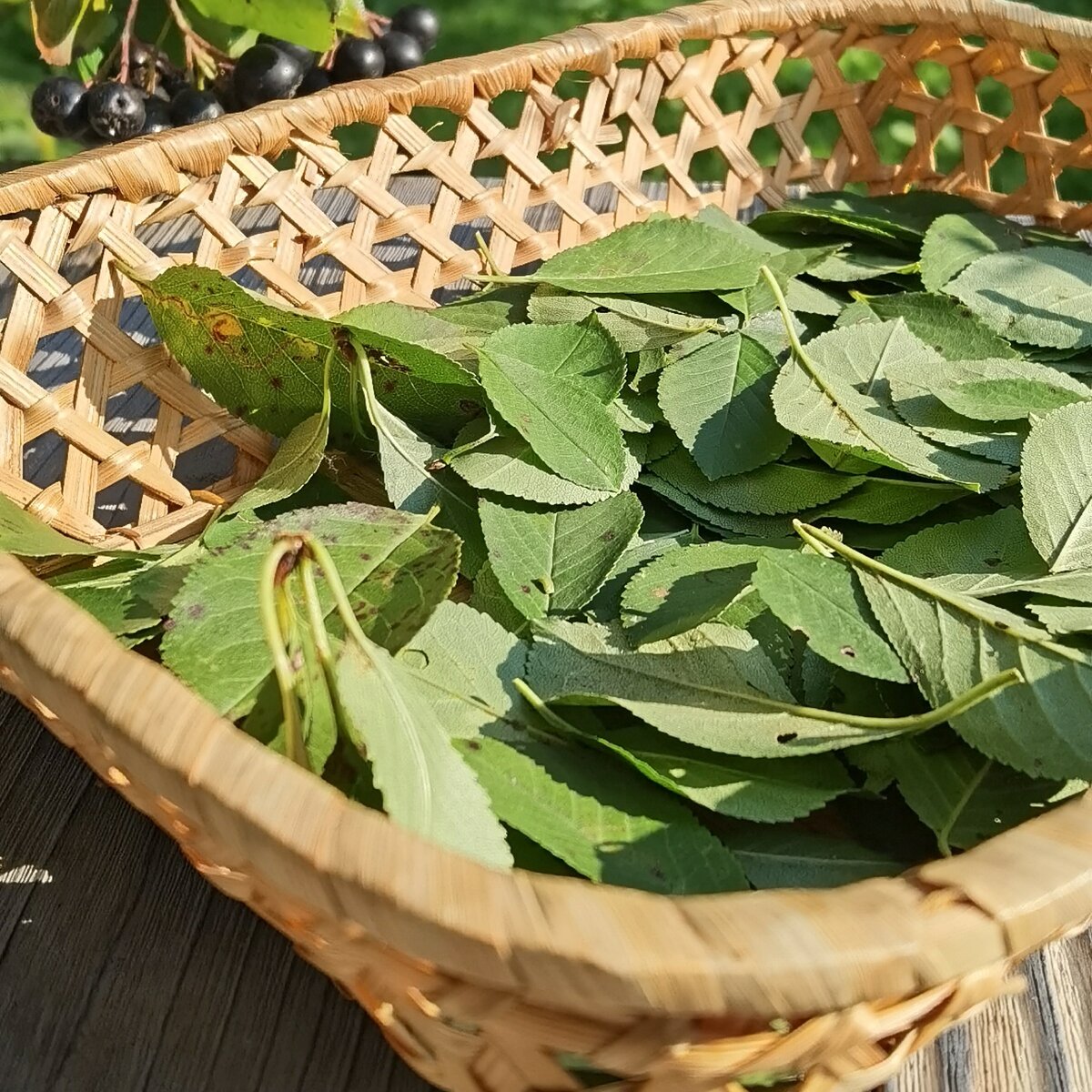 Фото Виктория Ли