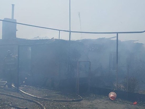     На жилые постройки перекинулся огонь с полей.Фото из телеграм-канала мэра Ставрополя