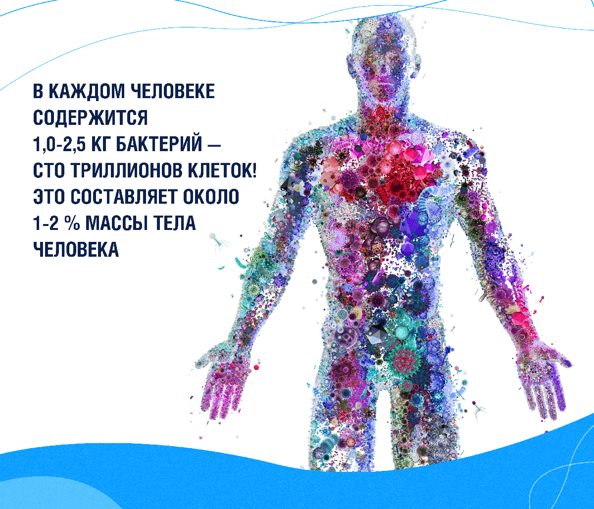 Масса микроорганизма. Люди и бактерии мутуализм. Борьба между человеком и бактерией.