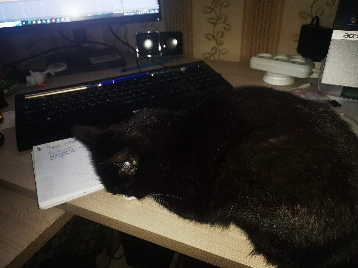 Тяжёлые будни на фрилансе