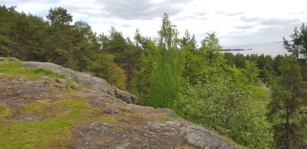 Вид с горы на Онежское озеро и окрестности