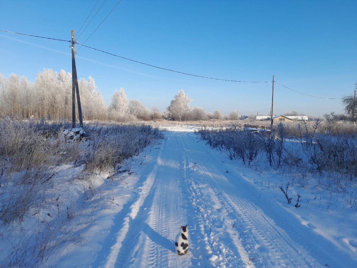 Красота, верно?