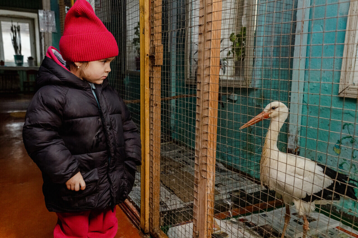 С ними душа отдыхает». Об обитателях районного Дома природы Козельска |  Газета Козельск | районка №1 | Дзен