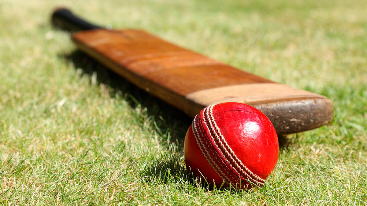 "Биты для лапты". Только одна картинка изображает действительно биты для лапты. Фото из сети интернет.